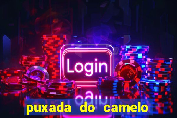 puxada do camelo no jogo do bicho